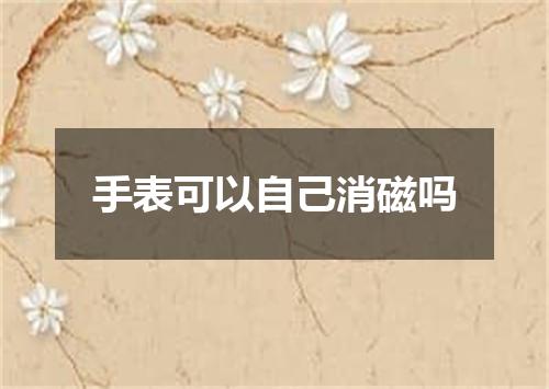 手表可以自己消磁吗