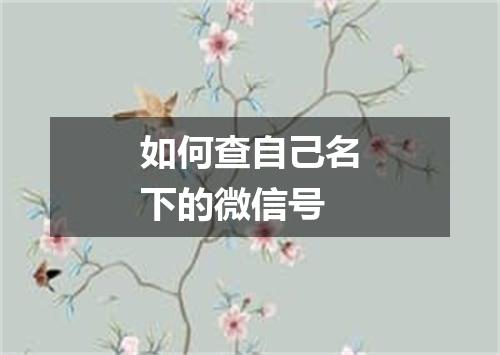 如何查自己名下的微信号