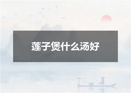 莲子煲什么汤好