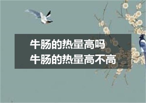 牛肠的热量高吗 牛肠的热量高不高