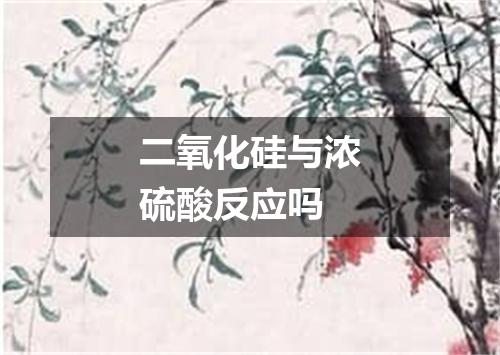 二氧化硅与浓硫酸反应吗