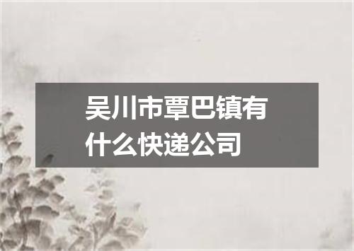 吴川市覃巴镇有什么快递公司