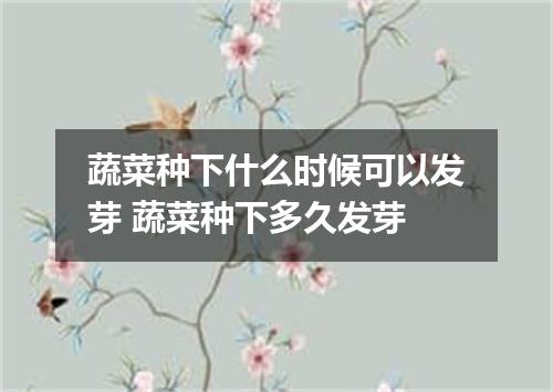 蔬菜种下什么时候可以发芽 蔬菜种下多久发芽