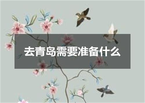 去青岛需要准备什么