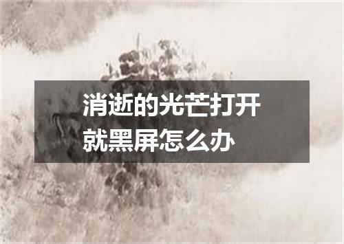 消逝的光芒打开就黑屏怎么办