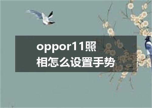 oppor11照相怎么设置手势