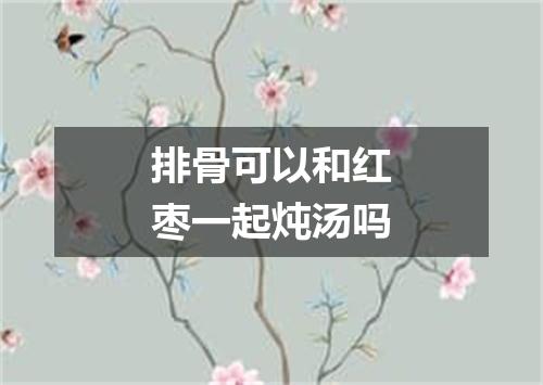 排骨可以和红枣一起炖汤吗