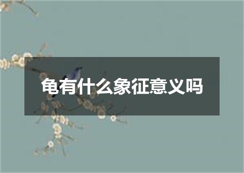 龟有什么象征意义吗
