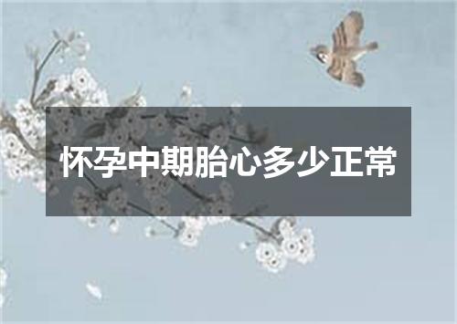 怀孕中期胎心多少正常