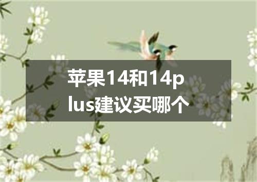 苹果14和14plus建议买哪个