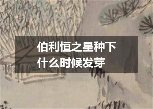 伯利恒之星种下什么时候发芽