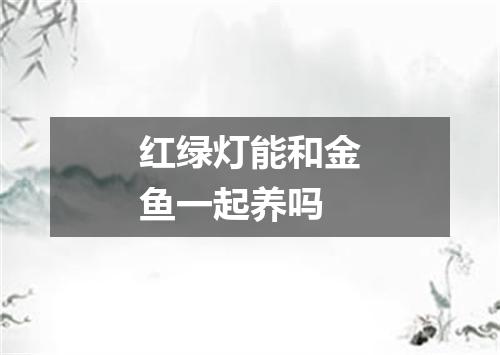 红绿灯能和金鱼一起养吗