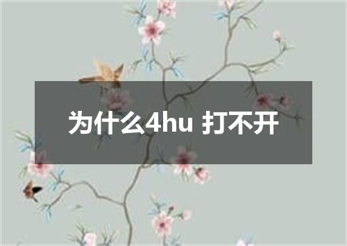 为什么4hu 打不开