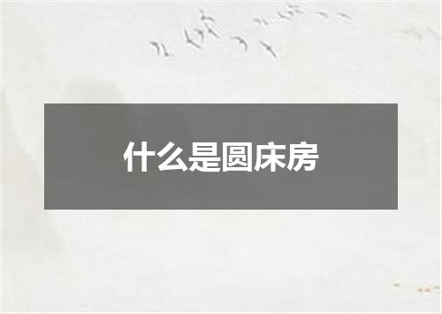 什么是圆床房