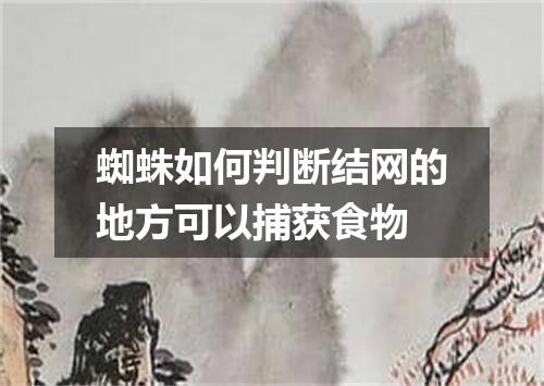 蜘蛛如何判断结网的地方可以捕获食物