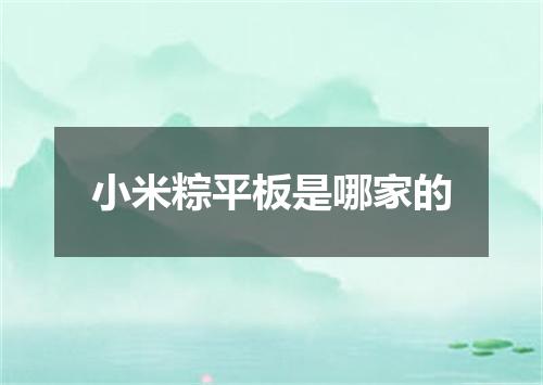 小米粽平板是哪家的