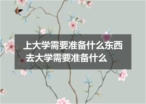 上大学需要准备什么东西 去大学需要准备什么