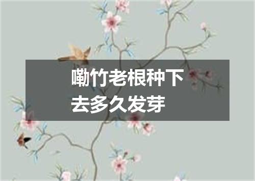 嘞竹老根种下去多久发芽