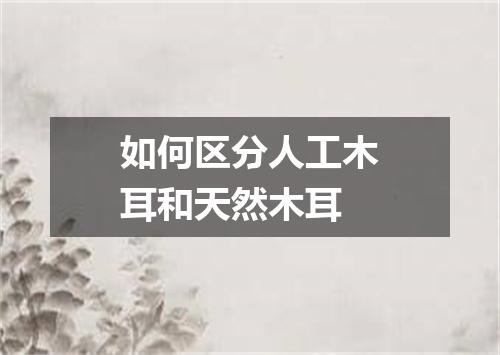 如何区分人工木耳和天然木耳