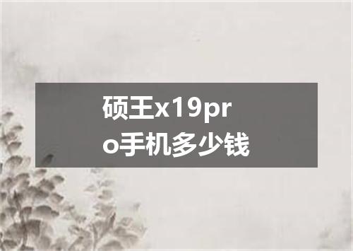 硕王x19pro手机多少钱