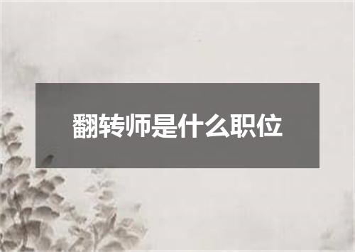 翻转师是什么职位