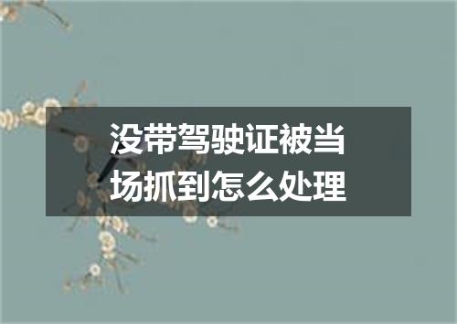 没带驾驶证被当场抓到怎么处理