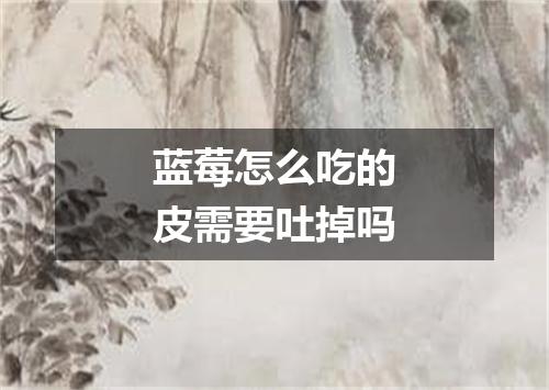 蓝莓怎么吃的皮需要吐掉吗
