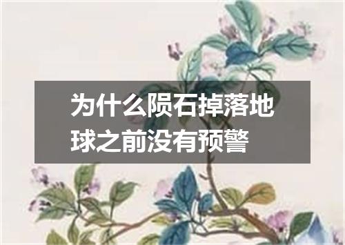 为什么陨石掉落地球之前没有预警