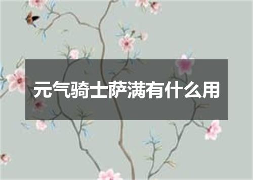 元气骑士萨满有什么用