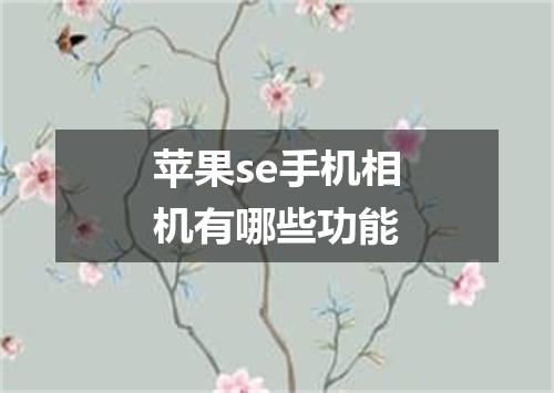 苹果se手机相机有哪些功能