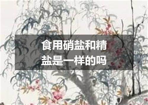 食用硝盐和精盐是一样的吗