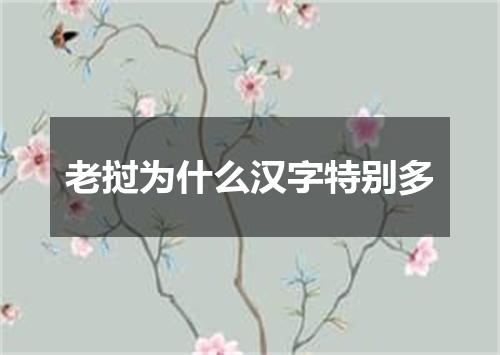 老挝为什么汉字特别多