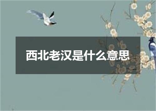 西北老汉是什么意思