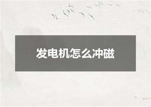 发电机怎么冲磁