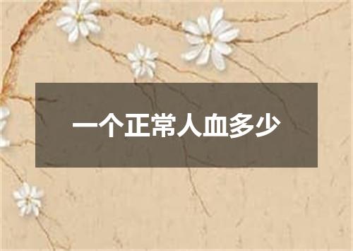 一个正常人血多少