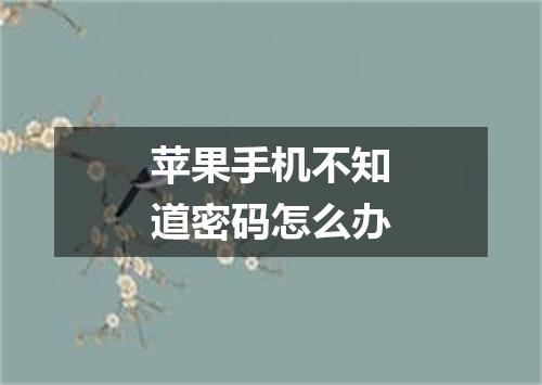 苹果手机不知道密码怎么办