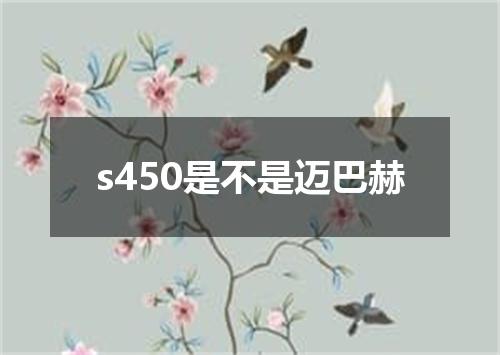 s450是不是迈巴赫