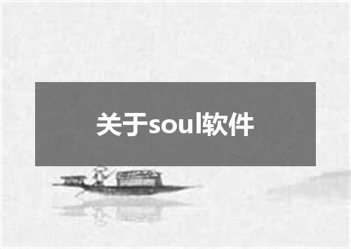 关于soul软件