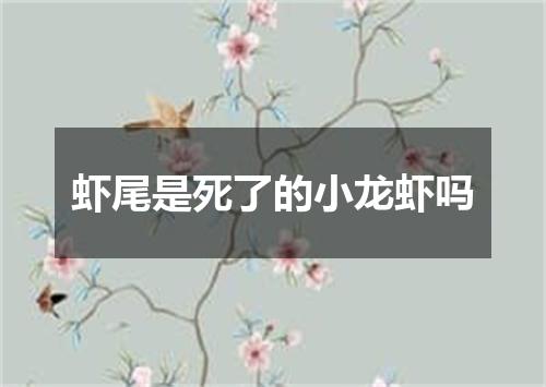 虾尾是死了的小龙虾吗