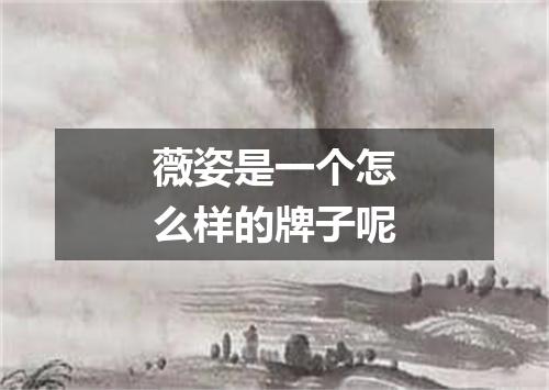 薇姿是一个怎么样的牌子呢