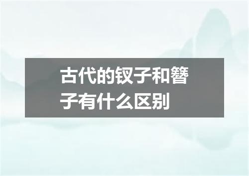 古代的钗子和簪子有什么区别