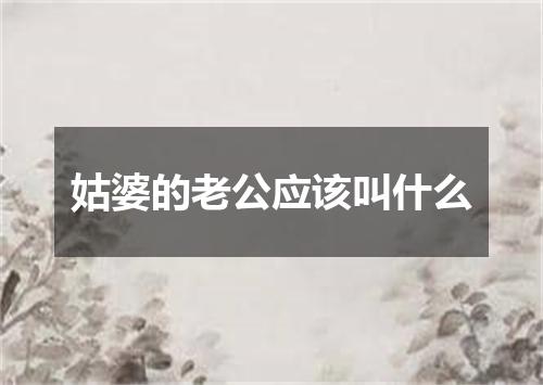 姑婆的老公应该叫什么