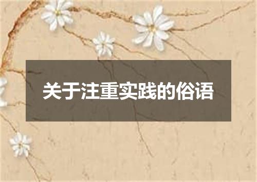 关于注重实践的俗语