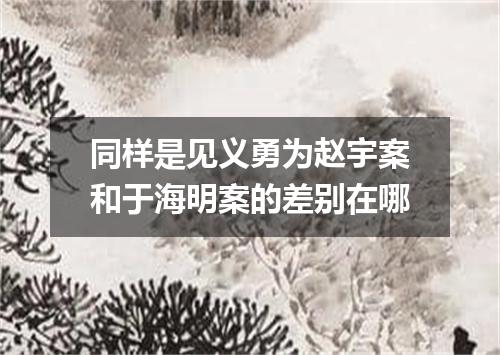 同样是见义勇为赵宇案和于海明案的差别在哪