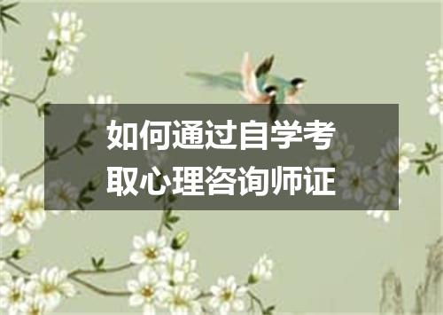 如何通过自学考取心理咨询师证