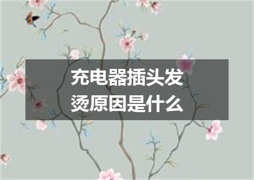 充电器插头发烫原因是什么