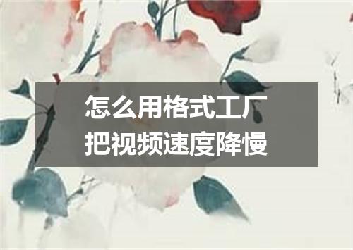 怎么用格式工厂把视频速度降慢