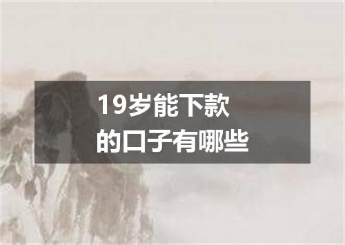 19岁能下款的口子有哪些