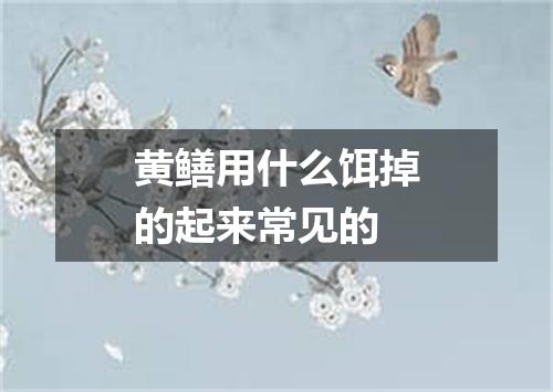 黄鳝用什么饵掉的起来常见的
