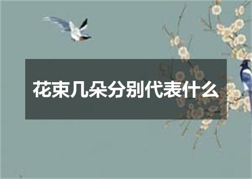 花束几朵分别代表什么